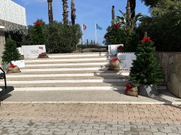 077-15-12-2025 IMG_3221